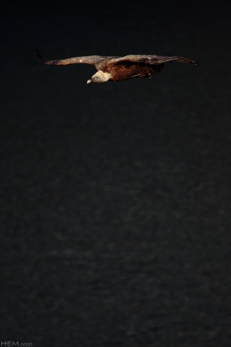 Sobre aguas sombrías