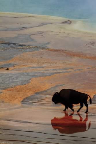 Sobre aguas luminosas
