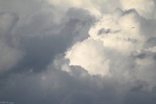 La mínima expresión II