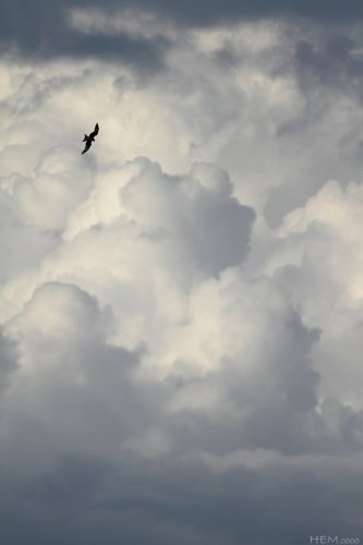 La mínima expresión