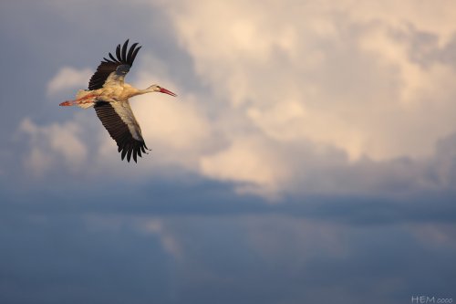Después de la tormenta