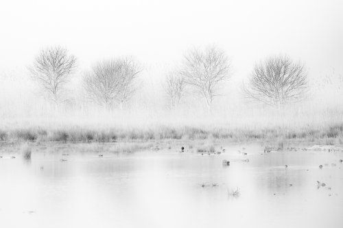 Amaneceres S'Albufera
