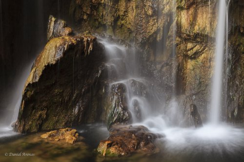 Vegetación petrificada