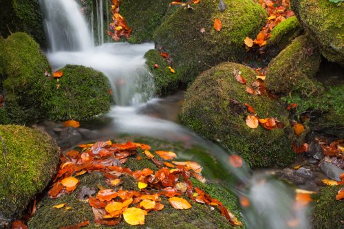 Asón jaiotzen - Asón naciendo