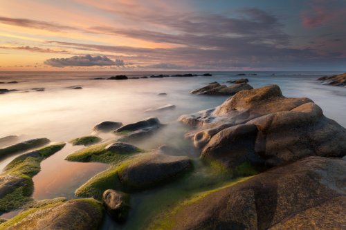 Retorno a los orígenes