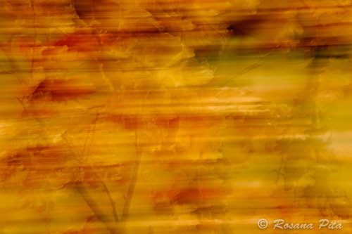 Invierno Campanarios_1