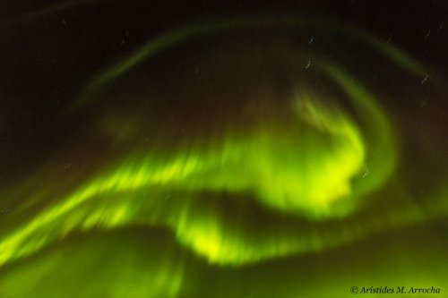 Garabato boreal