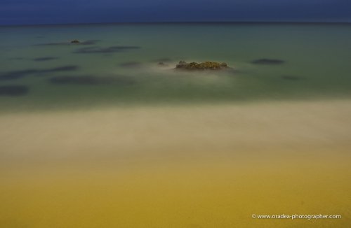 De Naturaleza In-Quieta