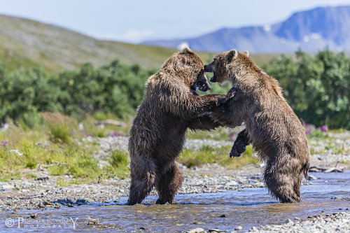 De aquí, no pasas...
