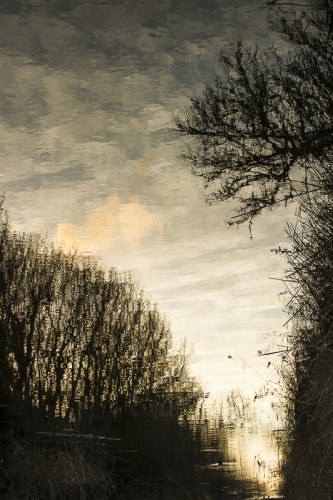 Amanecer en la albufera